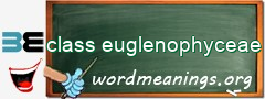 WordMeaning blackboard for class euglenophyceae